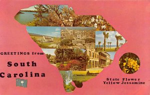 Greetings from South Carolina Greetings from, South Carolina  