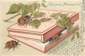 Pentecost floral beetle bugs pink box fantasy greetings postcard 1903 Germany 