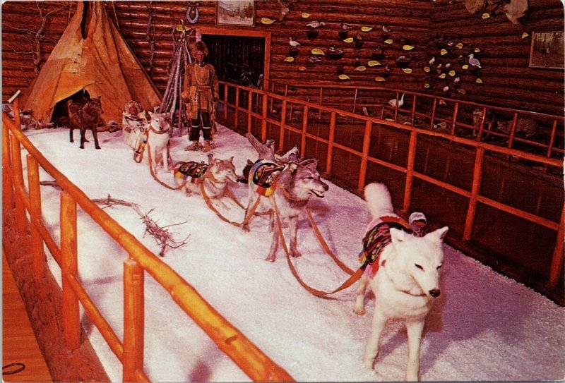 Luxton Museum Banff Alberta AB Cree Dog Team Carriole Continental Postcard C10