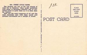 Three Deer in the Rocky Mountains - Linen