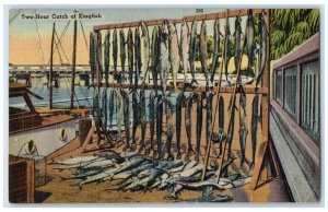 1949 Two-Hour Catch Kingfish Fishing Key West Florida Vintage Antique Postcard