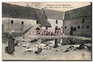 Old Postcard Folklore Normandy Visit to the farm The farmyard