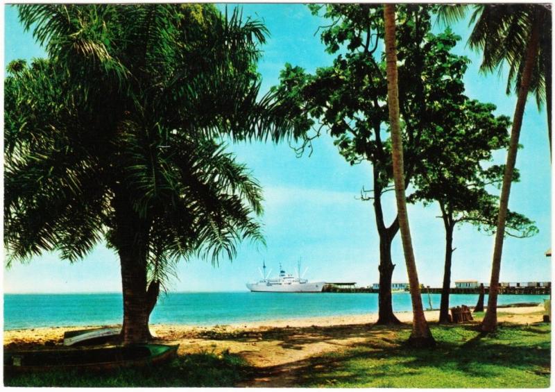 Honduras La Ceiba Ship at Pier from Beach Postcard 1960s-1970s