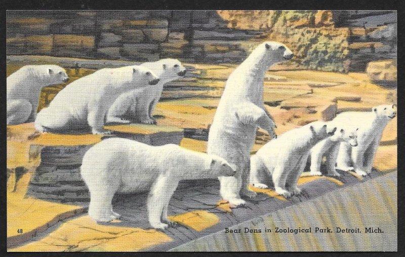 Polar Bear Dens Exhibit Zoological Park Detroit Michigan Unused c1940s