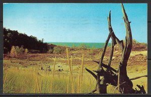 Indiana, Chesterton - Indiana Dunes State Park - [IN-001]