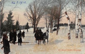 br105474 on mount royal montreal canada chariot  winter