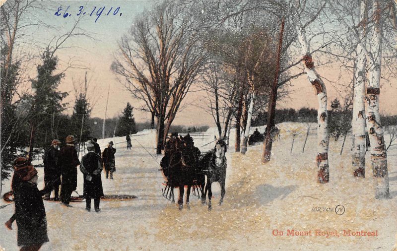 br105474 on mount royal montreal canada chariot  winter