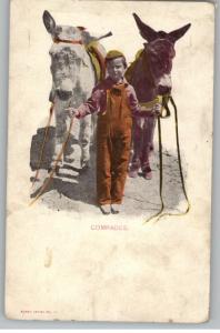 Old Postcard-Comrades..Little Boy With Mules/Donkeys
