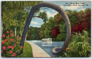 M-68934 The Horse Shoe Palm at Beautiful Silver Springs Florida