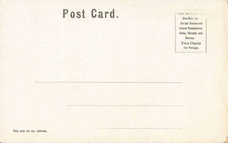 LP44 Haverhill  Massachusetts Postcard  Winnekenni Castle Copper Windows