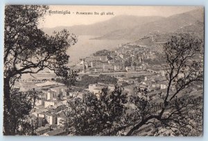 Ventimiglia Liguria Italy Postcard Panorama Among the Olive Trees c1910 Antique