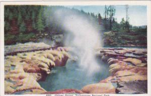 Oblong Geyser Yellowstone National Park