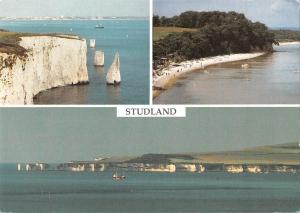 BR90721 studland dorset the pinnacles  uk