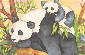 Panda Bear Art Unused 