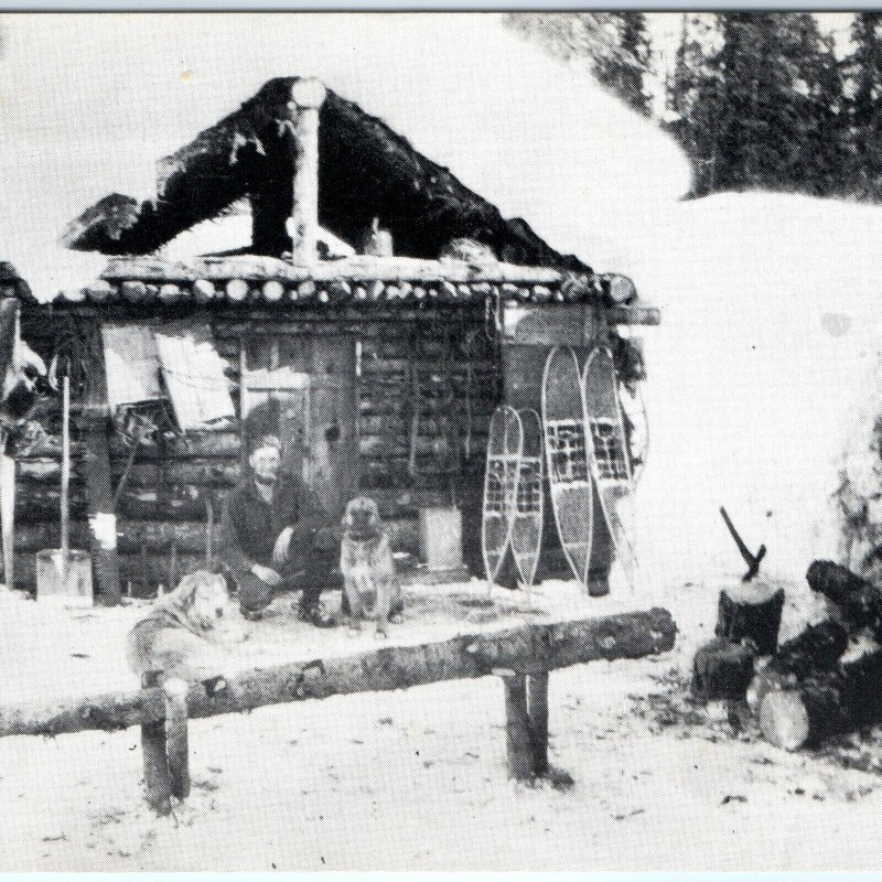 c1950s Chulitna, AK Fur Trapper Man & Dogs Cabin Railroad Winter 1928 Photo A145