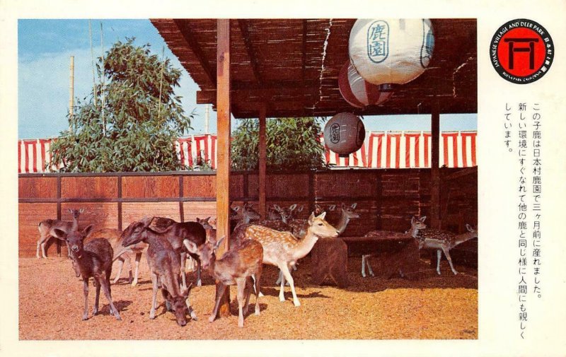 Japanese Village & Deer Park Buena Park, CA Fawns c1960s Vintage Postcard