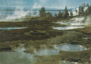 BF18640 geyser basin west thum yellowstone national park USA front/back image