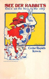 Cedara Rapids Iowa dressed bunny lady in dress baby bunnies antique pc ZD549489