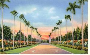 FL- Miami- Hialeah - Driveway to Club House, Miami Jockey Club