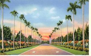 FL- Miami- Hialeah - Driveway to Club House, Miami Jockey Club