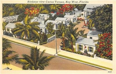 CACTUS TERRACE Birdseye View KEY WEST Florida Roadside c1940s Vintage Postcard