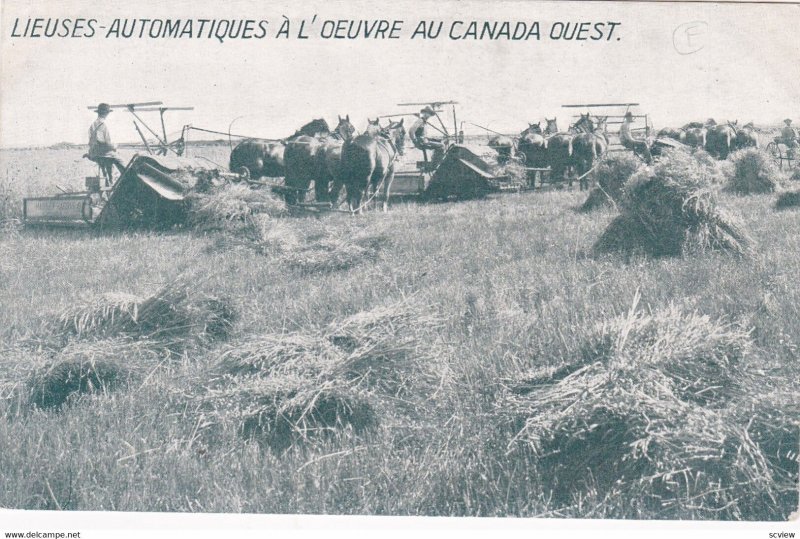 Lieuses-Automatiques a l'Oeuvre au Canada Ouest (Canada) , 00-10s