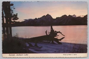 State View~Log On Shore of Jackson Lake At Sunset~Continental Postcard