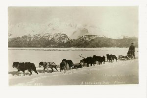 ALASKA RP c1910 Sled Dogs DOG SLED Sledding MAN & BOY Snow Wilderness Thwaites