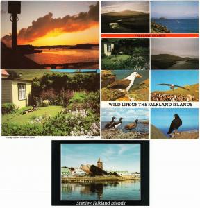 Falkland Islands Lot of 13 Postcards 1980s-1990s