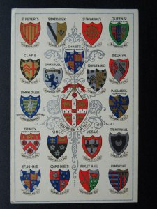 13 x Cambridge University Collection COLLEGES & HERALDIC ARMS c1905 Postcard