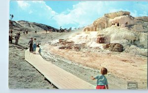 Minerva Terrace at Mammoth Yellowstone Natl Park Montana Postcard Posted 1963