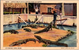 Miami Beach Vintage Florida Postcard MIAMI Alligator Farm Attraction KG15