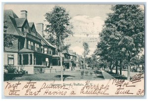 1905 Summer Street Buffalo New York NY Antique Posted HL Woehler Postcard