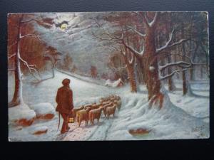 Shepherd Flock of Sheep WINTERS MANTLE c1912 Postcard by Raphael Tuck 9950