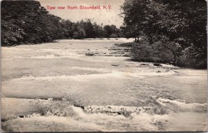View Near North Bloomfield New York Vintage Postcard C212