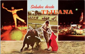 Saludos desde Tijuana Mexico Jai Alai Statue Bull Fight Unused Postcard G45