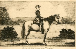 Postcard Early View of General Robert E. Lee on his Horse Traveller.  L8