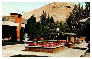 Postcard SCHOOL SCENE Butte Montana MT AQ5274