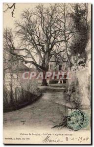 Old Postcard Chateau de Busagny The courtyard The big chestnut