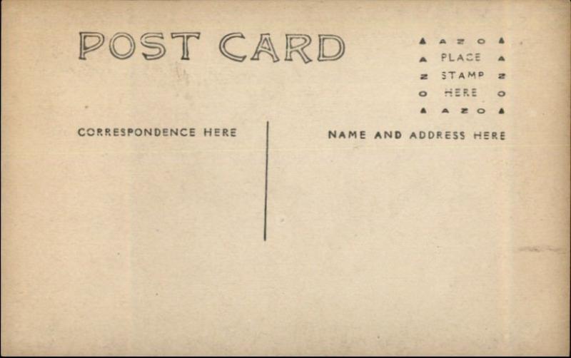 Lewiston NY 1909 Ice Jam Hotel Cornell c1910 Real Photo Postcard