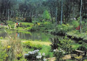 BR101896 blue mountains rhododenron society s garden blackhealth nsw   australia