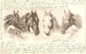 M.-M. Vienne. Four horses  Nice old vintage postcard