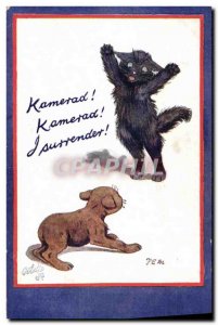 Postcard Old Dog Puppy Cat Chients