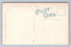 BIRD'S EYE VIEW ARCADIA FLORIDA POSTCARD (c. 1915)