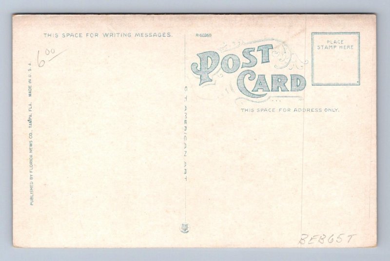 BIRD'S EYE VIEW ARCADIA FLORIDA POSTCARD (c. 1915)