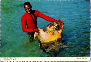 VINTAGE CONTINENTAL SIZE POSTCARD HAWKSBILL TURTLE MAILED FROM BAHAMAS 1981