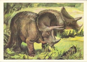 DINOSAUR, Triceratops, Russian Fact Card, Prehistoric Animal, 1983 USSR