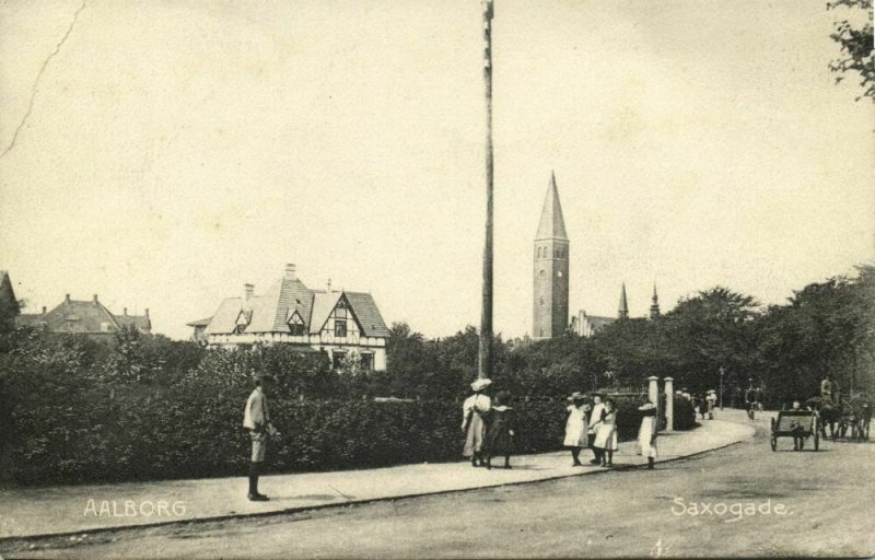 denmark, AALBORG ÅLBORG, Saxogade (1910s) Postcard