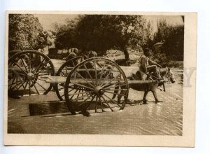 232559 USSR Uzbekistan KARAKOL bullock-cart Vintage postcard