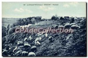 Postcard Old CROZANT landscape sheep